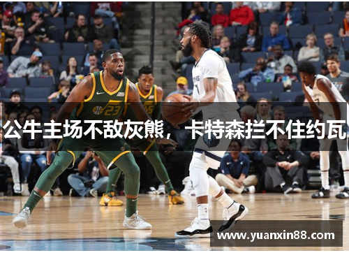 公牛主场不敌灰熊，卡特森拦不住约瓦