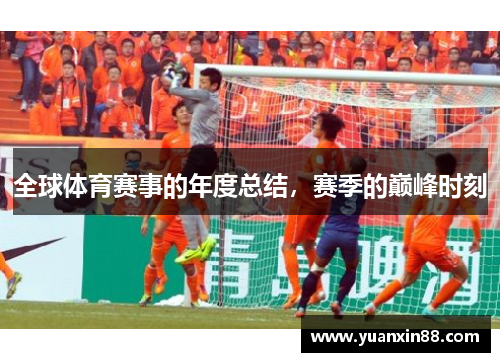 全球体育赛事的年度总结，赛季的巅峰时刻
