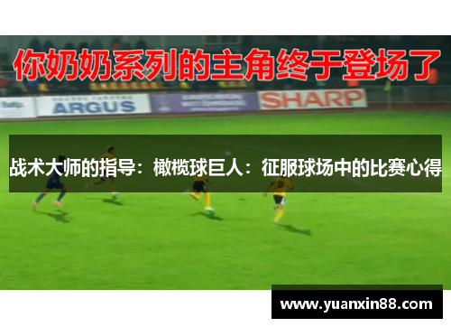 战术大师的指导：橄榄球巨人：征服球场中的比赛心得